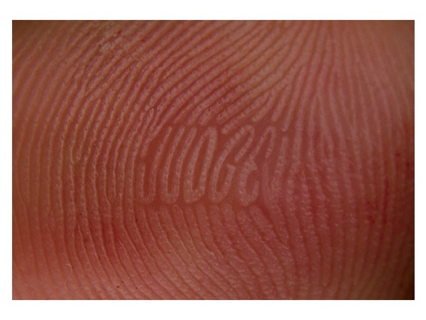 vanished:  Peter Chmela - Don’t Judge People According To Their Appearance, 2009