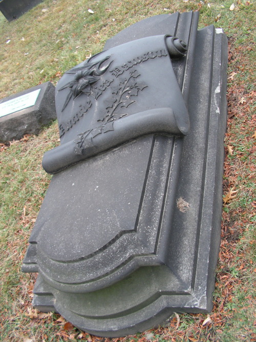 grrg63heavenonearth:  Allegheny Cemetery 12-3-14-30