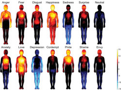 anakinsilk: mypsychology: Heat map of the human body based on emotions   Is shame Spider-Man? 