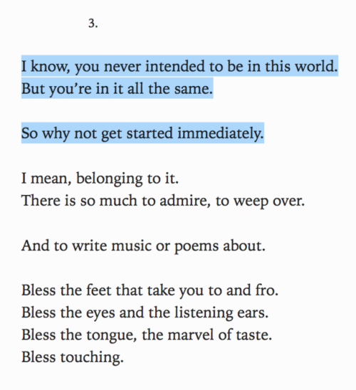 gettingintoknives:Mary Oliver, from “the fourth sign of the zodiac” published in Blue Horses