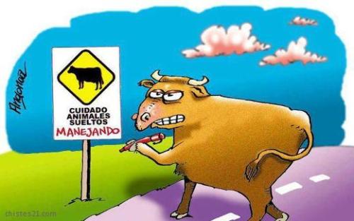 chistes21:  Una cruda verdadTienda Regalos007 en Rebajas.Guru