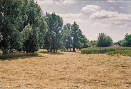 michaelweck:along the #field #path #Brandenburg