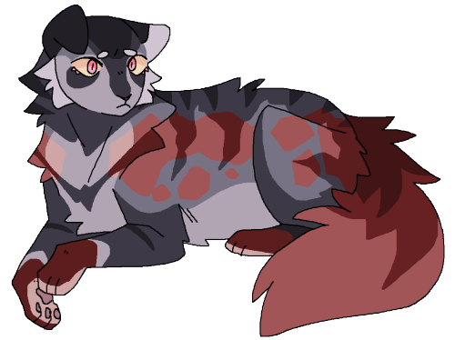 heehoo itz a rosetail but,,,,i based her colorz/pattern off the rosetail fam from fr ajsgjasdjjasg 