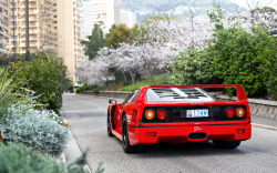 gasinblood:  F40. by Alex Penfold on Flickr.F40.