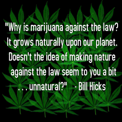 americangreenusa:  #AmericanGreen #Quote: “Doesn’t the idea of making nature against the law seem to you a bit…unnatural?” - Bill Hicks