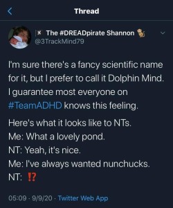 gallusrostromegalus:transtistic:umbrellanumber5-deactivated2021:......ADHD ‘Dolphin minds’ : an extremely relatable thread other ND people can actually connect the dots bc our minds are also going that fast. I’ve had it happen when I was talking