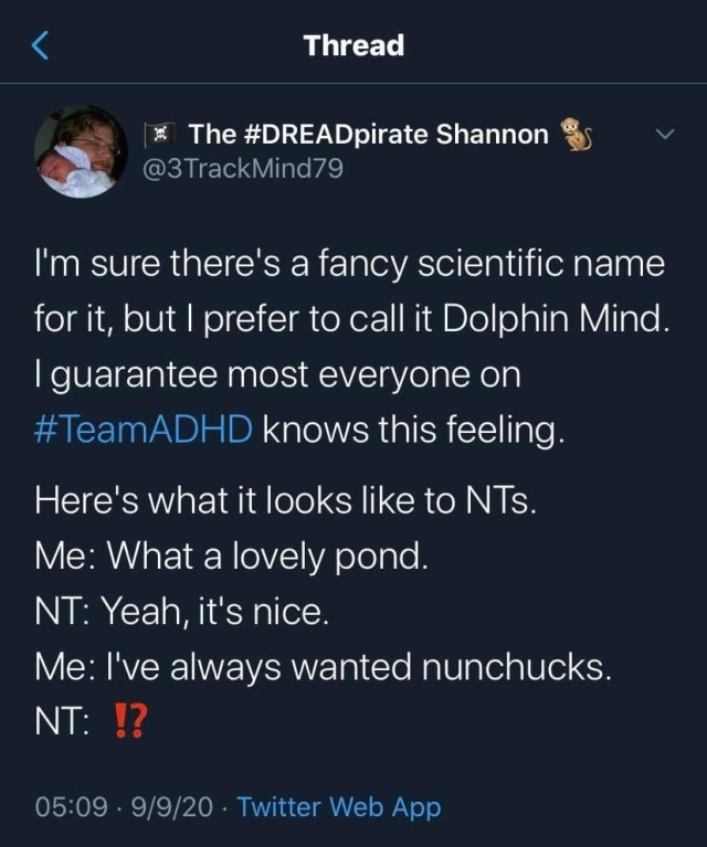 gallusrostromegalus:transtistic:umbrellanumber5-deactivated2021:......ADHD ‘Dolphin minds’ : an extremely relatable thread other ND people can actually connect the dots bc our minds are also going that fast. I’ve had it happen when I was talking