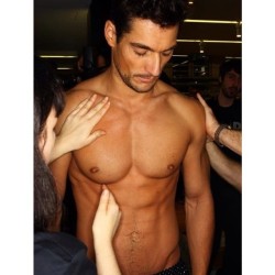 gandymania:  Best job ever !!!!  how can