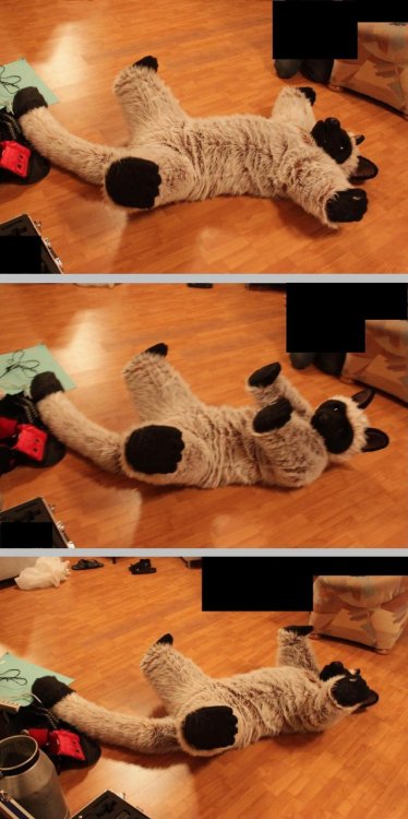 bitchsuits:  Plush fursuit by catcoon http://www.furaffinity.net/view/11814695/