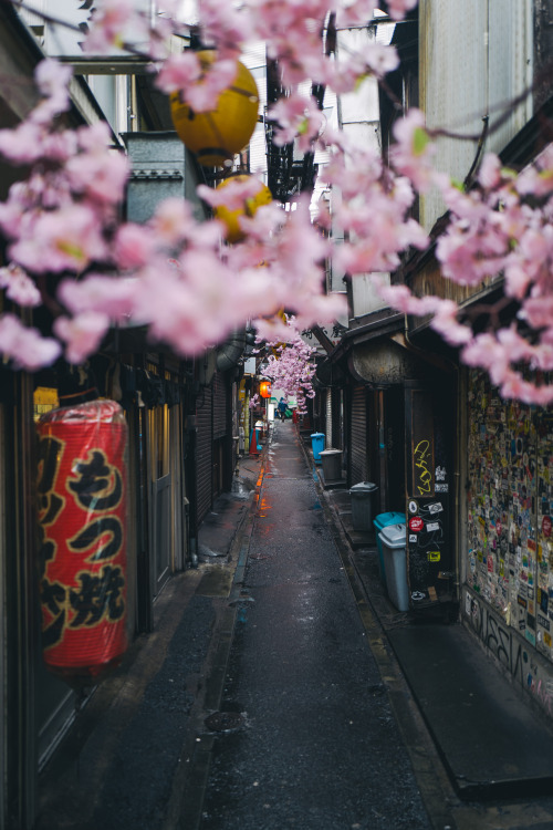 tokyo drifting - march 2019