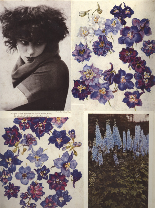 an-overwhelming-question:Hannah Höch