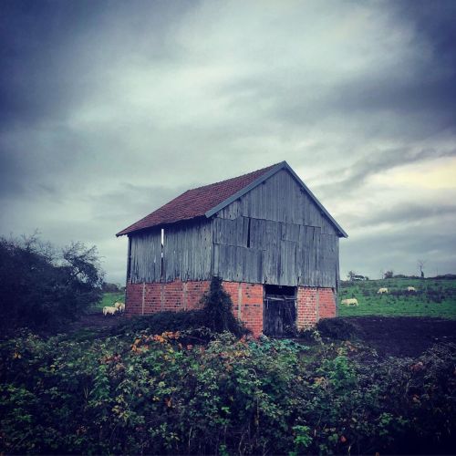 #campagne #countryside #france #hangar7 https://www.instagram.com/p/CG-DNQ-hDHY/?igshid=n7ube5dba8e