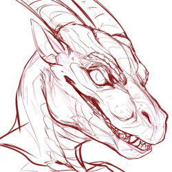 zoologicallydubious:  sketchdump for the next batch of dragon headshots