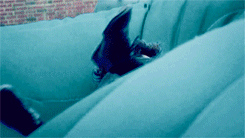 swiftlycumberbatchedbythedoctor:  How he said he did it. 