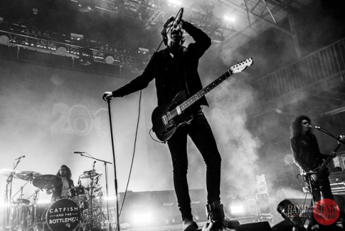 catbupdates: Catfish and the Bottlemen performing at Falls Festival in Lorne 12.31.18