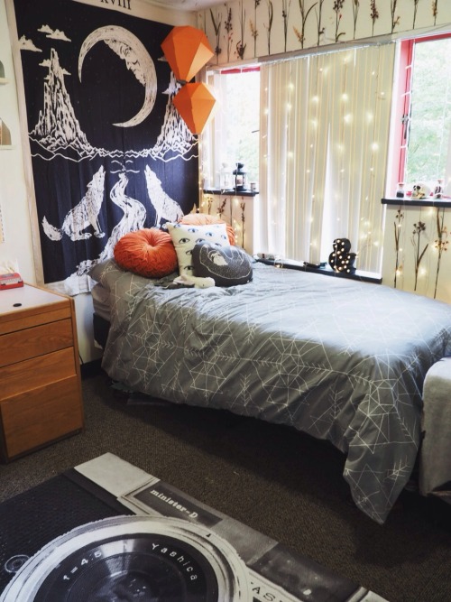 vineayl:  pixope:  Here’s my dorm room! I guess you can call the aesthetic fairy apothecary?       