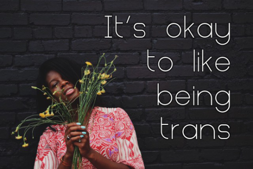 realtransfacts:You’re more than just dysphoria and a target of transphobia (img source)