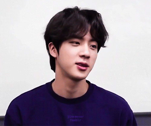 1/100 Days Of Kim Seokjin