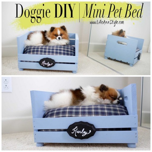 DIY Crate Dog or Cat Bed Tutorial from Life Ann Style. This DIY small pet bed is easy to make becaus