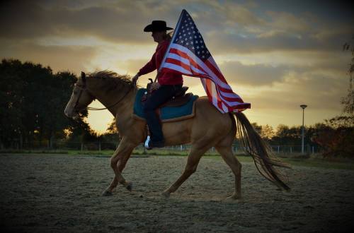 DC Cool Goodys ChampCool Looking TC x Belles Good LookingQuarter Horse, Stallion14.3hhBorn 2010