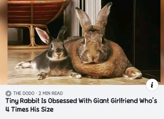 ayyylienlmaufo:  GREAT NEWS EVERYONE!!! And they call him… they call him Tiny Husbun 