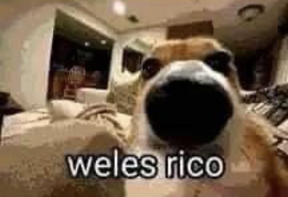 MEMES? — Todas somos Federica Peluche