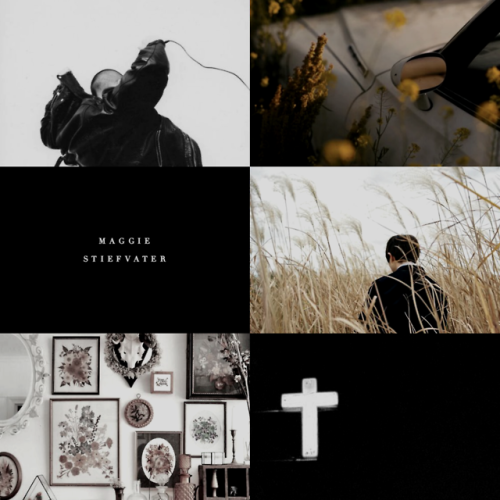 hazelevans:FAVOURITE BOOKS ∙ the raven cycle, maggie stiefvaterBlue tried not to look at Gansey’s bo