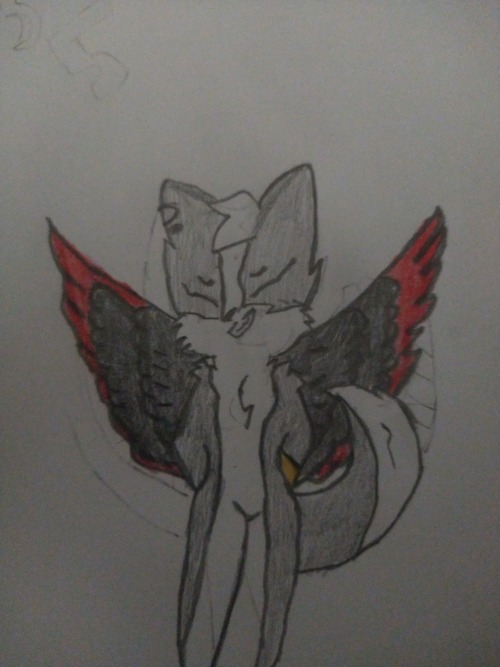 OMFG, I Wasn't Expecting Do Get So Much Followers Already. Thank You Guys So Much!