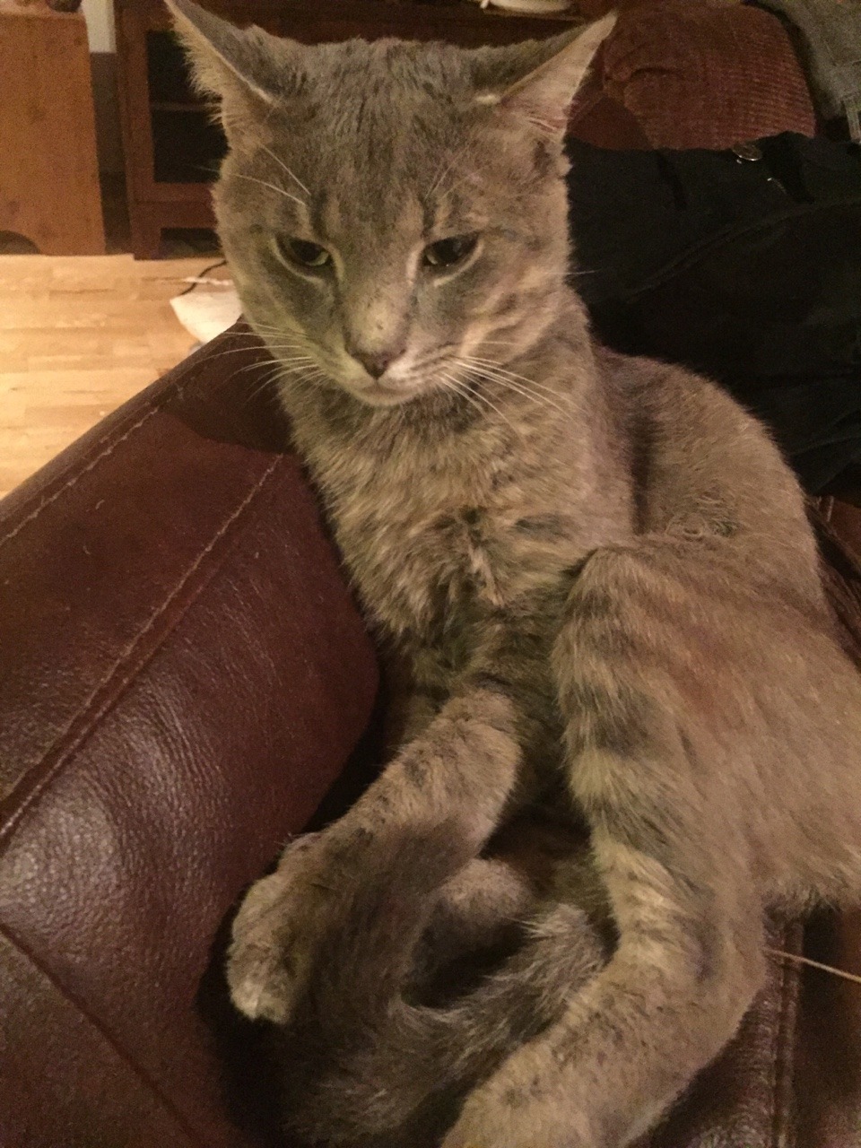 Samson like to hold &ldquo;hands.&rdquo;