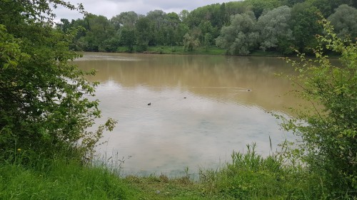 Greenish Pond (Saturday 5th June, 2021)