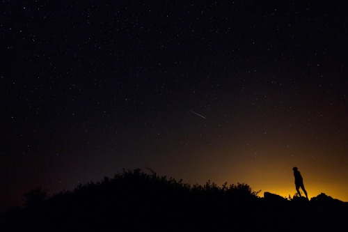 Sex guardian:  Perseid meteor shower puts on pictures