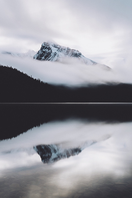 deletingmyself:  (by briannguyen) Website 