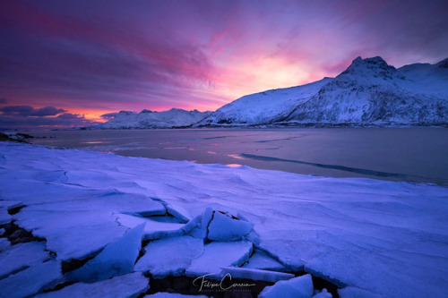 Photographer  Filipe Correia (Portugal)  500px  Facebook   National Geograp