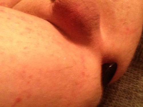 NorwegianPet(m)