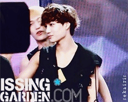 sekairis:  24/ ∞ EXO gifs | Kai (ft:lay's aniyo)   