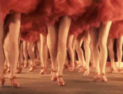 nitratediva:  “The Hades Ballet”