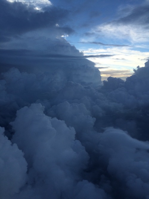 snout2:  the sky looked so nice from the plane window 