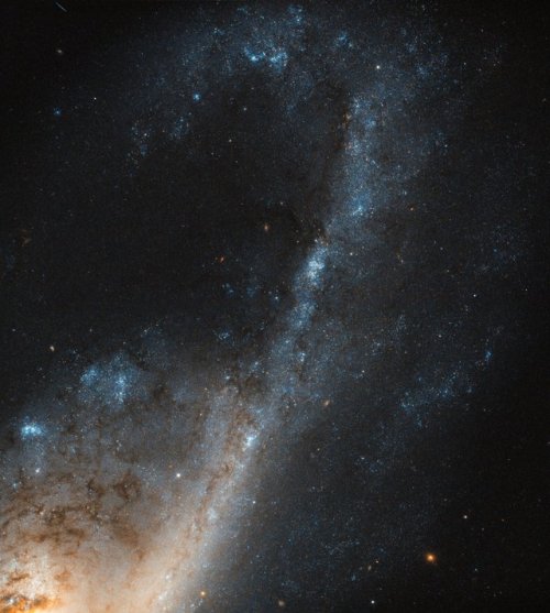 Hubble Sees Starbursts in Virgo : Starburst galaxies contain regions where stars are forming at such