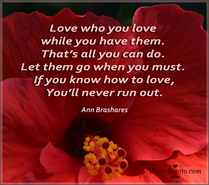 soul-to-souls:    For More Quotes and Poetry, click here. www.photobonito.com  