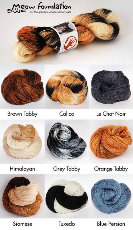 staceysthings: randomactsofdouchebaggery: ingridmatthews: Cat inspired yarn!   I need someone t