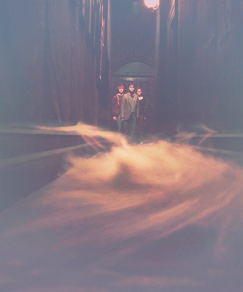 0815ding:  (via Harry Potter on We Heart It)