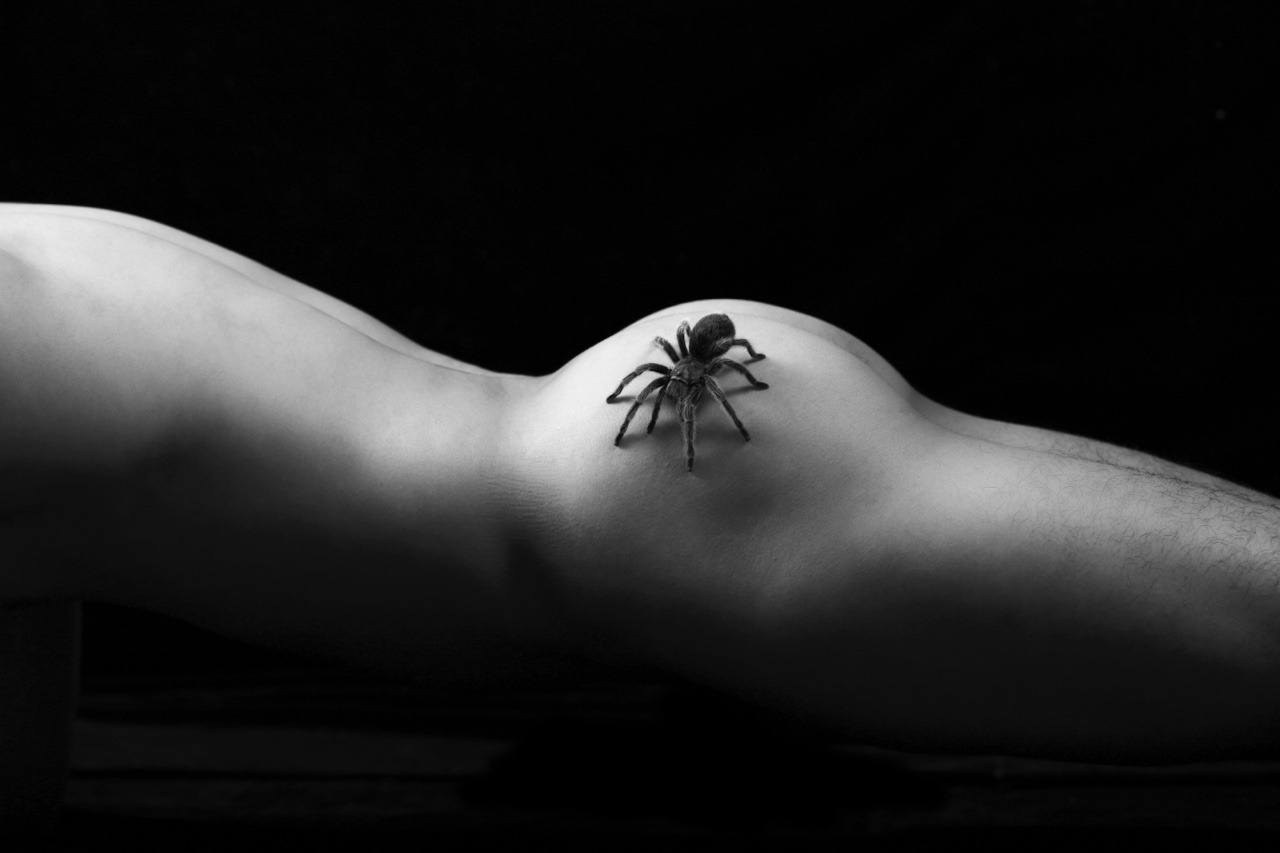 cgubcffukogdee:  狼蛛🕷️