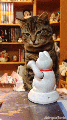 alxbngala:  Maneki-Neko High Five [X] 