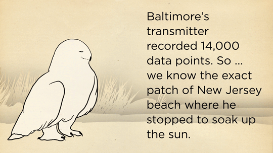skunkbear:  Thanks to cutting edge tracking technology, Baltimore is probably the
