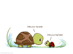 kickingcones:  Fact: Ladybugs are mini turtles.