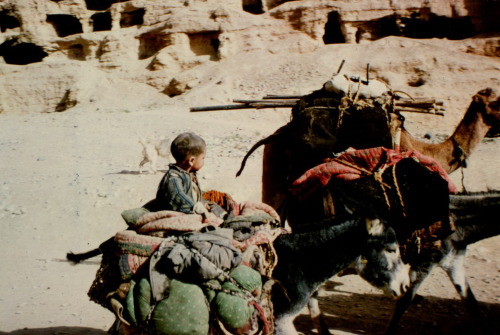 warkadang: Kuchis (nomadic Pashtuns) near the great statues of the three Buddhas in Bamiyan, Afghani