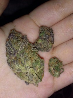 smoke-some-maryjane:  I got dattt loud c;