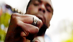 captainpoe:The Black Panther has been the protector of Wakanda for generations. A mantle passed from