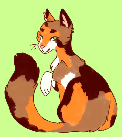 cosima-niehaus: rnetalbenders: collection of ob kitties for cosima-niehaus’ warrior cats au !!