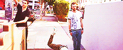 paramoreeh:  behind the scenes of the 2011 lindsey byrnes shoot. 